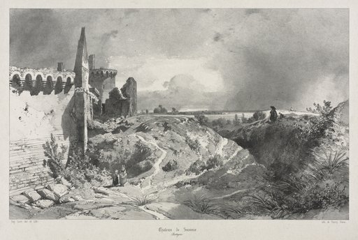 Voyages pittoresques et romantiques dans l'ancienne France. Bretagne: Chateau de Susinio