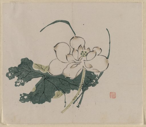 Lotus Blossom