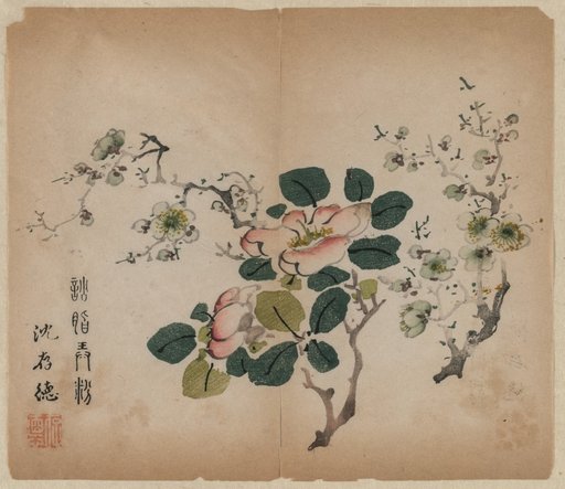 Flowering Prunus