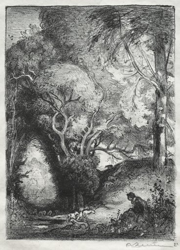 The Ravine in June