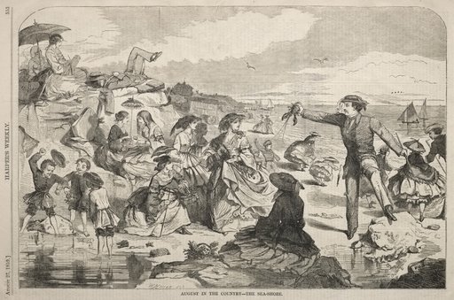 August in the Country - The Seashore