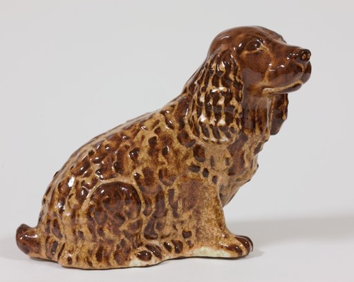 Spaniel