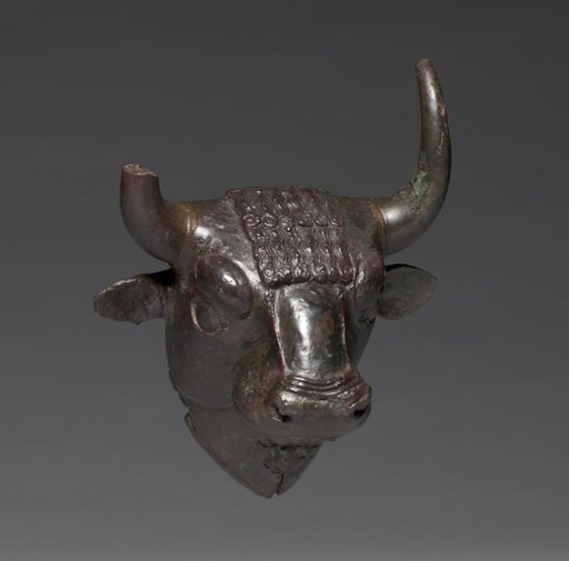 Bull Head Attachment