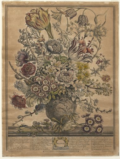Twelve Months of Flowers: March