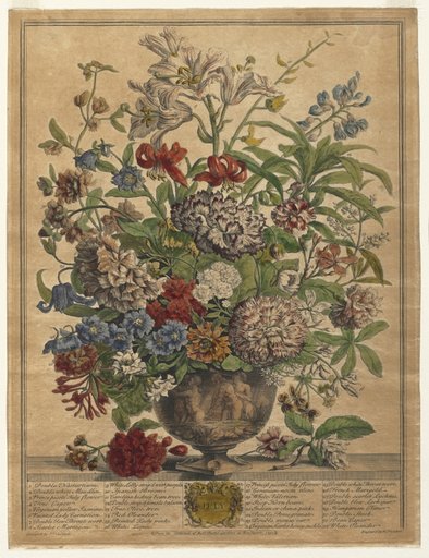Twelve Months of Flowers: July