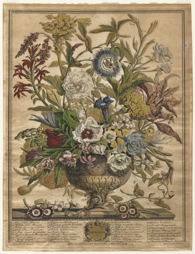 Twelve Months of Flowers: September