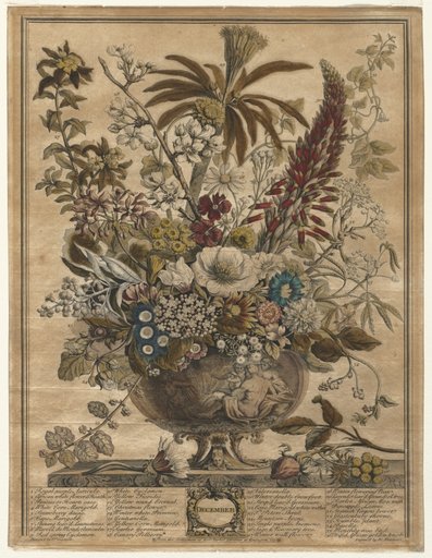 Twelve Months of Flowers: December