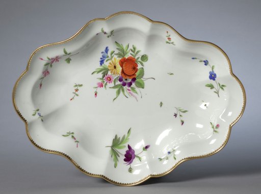 Dish