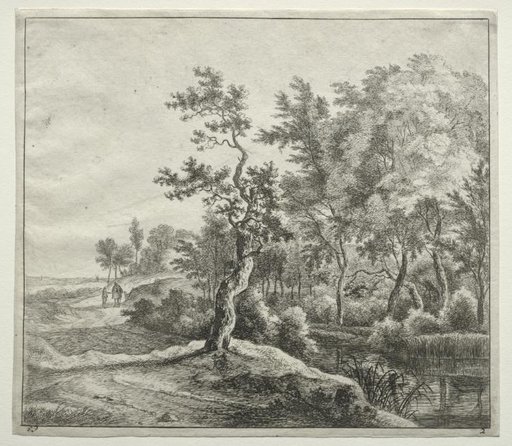 The Serpentine Road