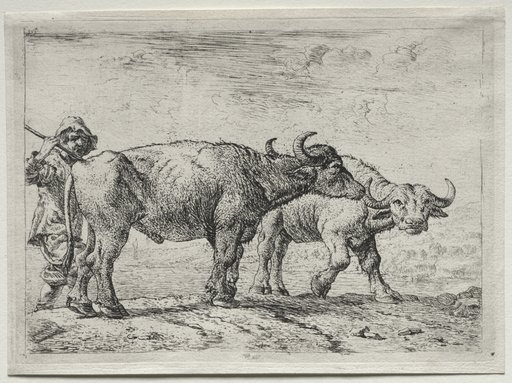 The Two Buffaloes