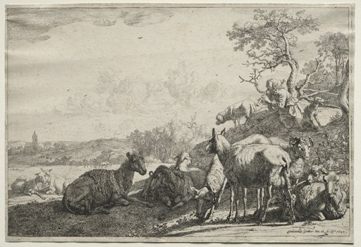 The Shepherd