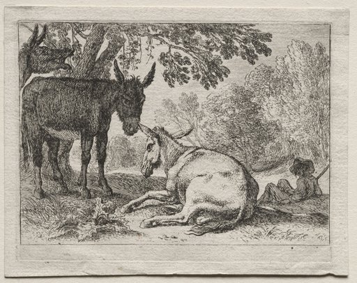 Animals in Landscapes: Donkeys