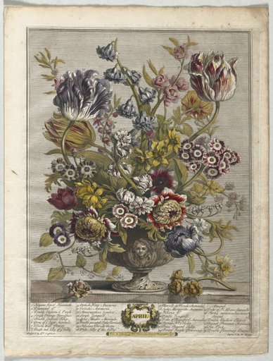 Twelve Months of Flowers: April