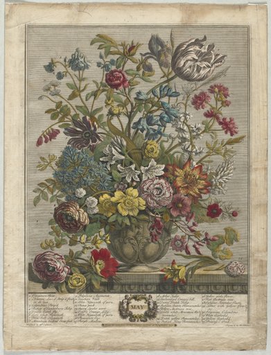 Twelve Months of Flowers: May