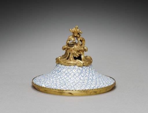 Cover for a Vase