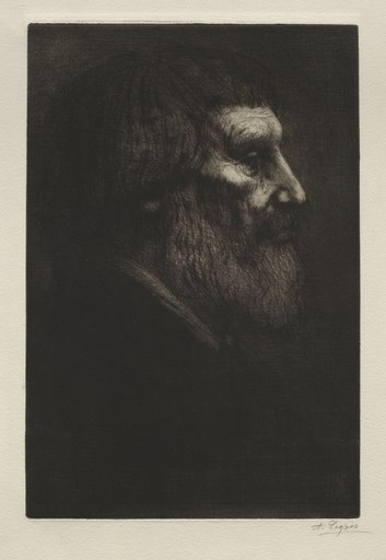 Head of a Man