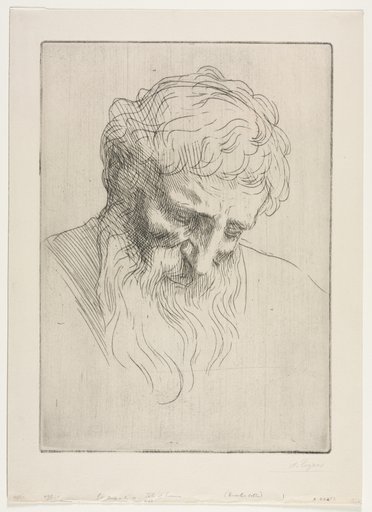 Head of a Man
