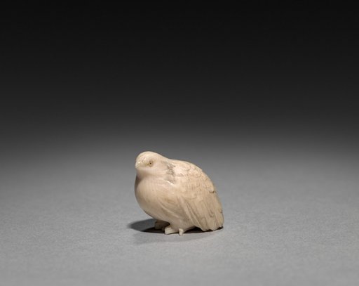 Quail