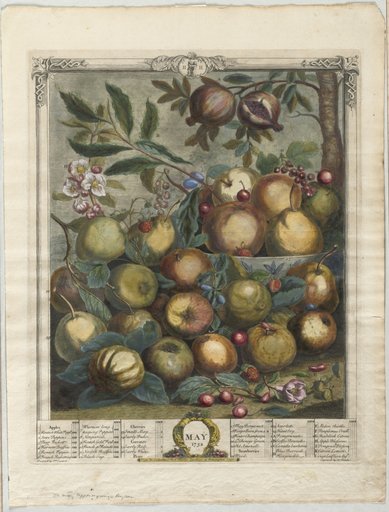 Twelve Months of Fruit: May