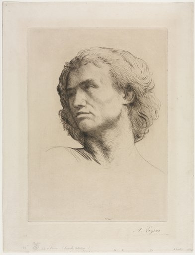 Head of a Man
