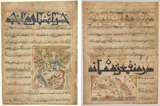 Qualities of Ringdoves (recto); On the Benefits of Quails (verso), from a Persian Manafi‘ al-Hayawan (The Benefits of Animals) of Abu Said Ubaid-Allah ibn Jibrail ibn Bakhtishu (died 1058–68)