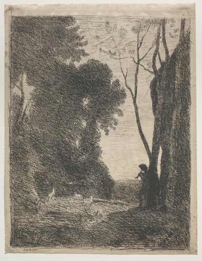 The Little Shepherd