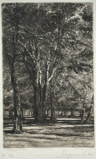 Kensington Gardens (The Larger Plate)