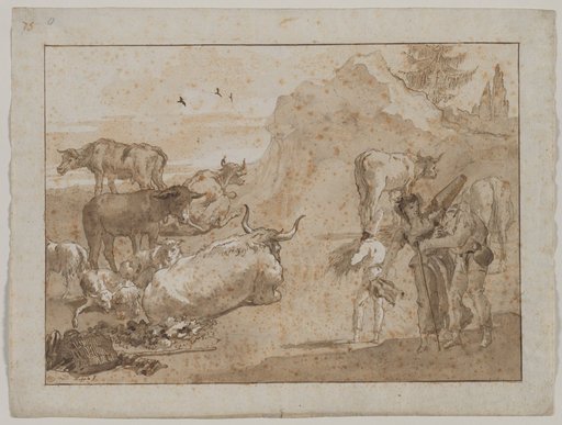 Sheep and Cows