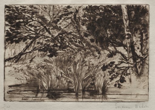 The Mouth of a Brook (Second Plate)