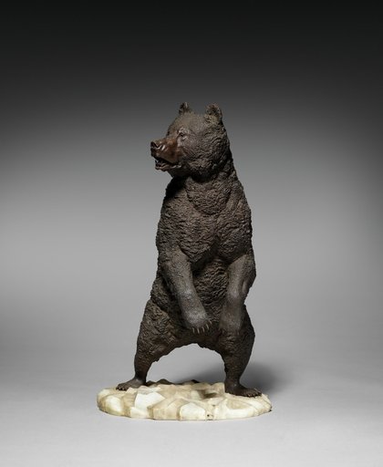 Bear