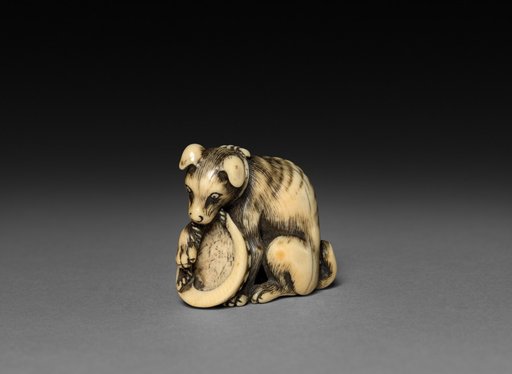 Dog with Shell