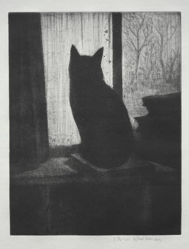 The Cat