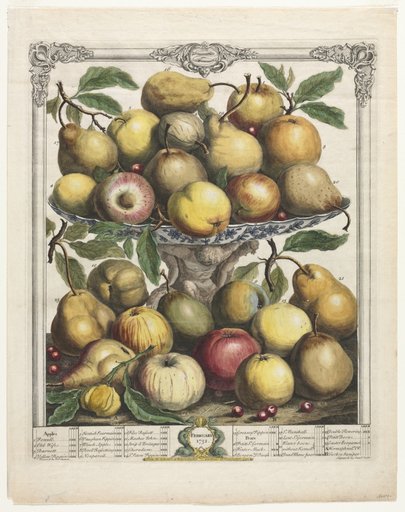 Twelve Months of Fruit: February