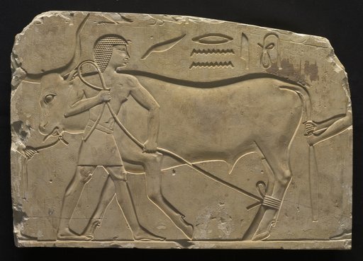 Men Trussing an Ox
