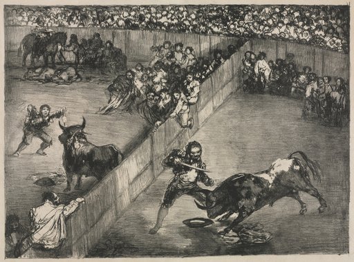 The Bulls of Bordeaux: Bullfight in a Divided Ring