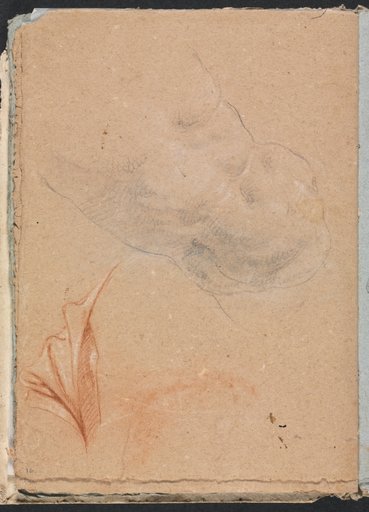 Verona Sketchbook: Nude male torso with drapery (page 16)