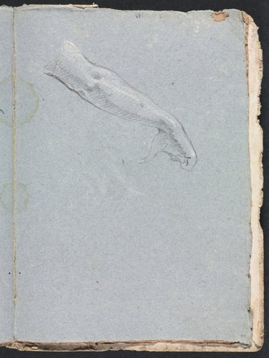 Verona Sketchbook: Right arm and hand (page 95)