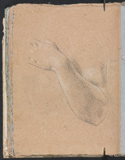 Verona Sketchbook: Left arm and hand (page 46)