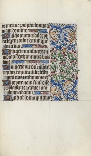 Book of Hours (Use of Rouen): fol. 119r