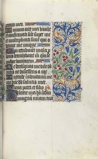 Book of Hours (Use of Rouen): fol. 85r