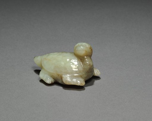 Tortoise