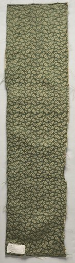 Silk Fragment