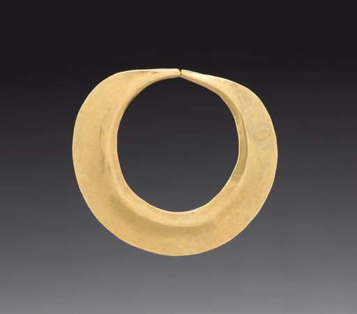 Nose Ornament