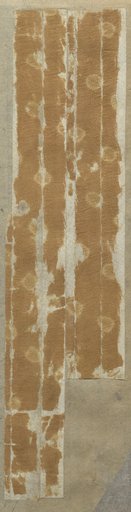 Fragment