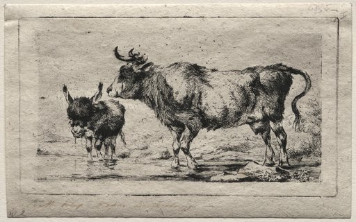 Cow and Ass