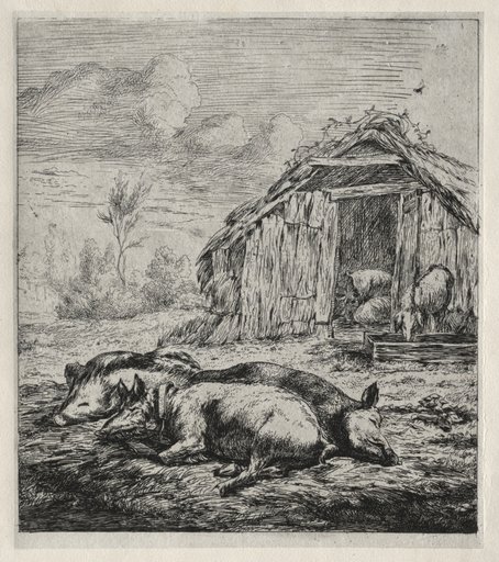 Three Swine Lying in Front of a Sty
