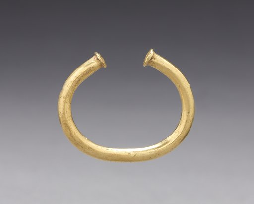 Nose Ornament