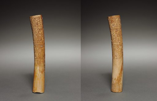 Pair of Ear Ornaments