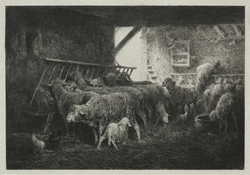 Interior of a Sheep Pen