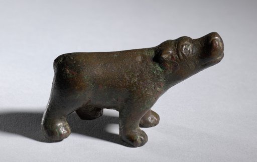 Hippopotamus